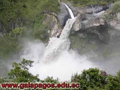 Galapagos Spanish School, Spanish School quito ecuador, learn spanish quito, escuela de Espanol Galapagos, study spanish ecuador, classes spanish quito Montanita mindo, spanish language schools in quito otavalo, spanish courses, spanish online, speak spanish, language immersion program, spanish immersion program, son latino dance school, host family, familystay, apartment quito