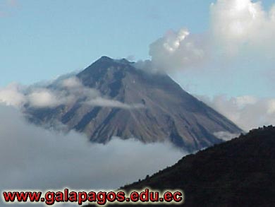 Galapagos Spanish School, Spanish School quito ecuador, learn spanish quito, escuela de Espanol Galapagos, study spanish ecuador, classes spanish quito Montanita mindo, spanish language schools in quito otavalo, spanish courses, spanish online, speak spanish, language immersion program, spanish immersion program, son latino dance school, host family, familystay, apartment quito