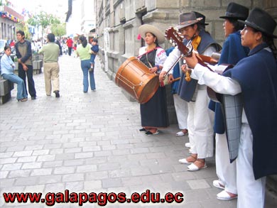 Galapagos Spanish School, Spanish School quito ecuador, learn spanish quito, escuela de Espanol Galapagos, study spanish ecuador, classes spanish quito Montanita mindo, spanish language schools in quito otavalo, spanish courses, spanish online, speak spanish, language immersion program, spanish immersion program, son latino dance school, host family, familystay, apartment quito