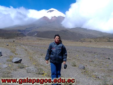 Galapagos Spanish School, Spanish School quito ecuador, learn spanish quito, escuela de Espanol Galapagos, study spanish ecuador, classes spanish quito Montanita mindo, spanish language schools in quito otavalo, spanish courses, spanish online, speak spanish, language immersion program, spanish immersion program, son latino dance school, host family, familystay, apartment quito