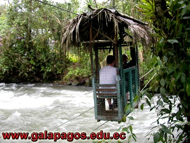 Galapagos Spanish School, Spanish School quito ecuador, learn spanish quito, escuela de Espanol Galapagos, study spanish ecuador, classes spanish quito Montanita mindo, spanish language schools in quito otavalo, spanish courses, spanish online, speak spanish, language immersion program, spanish immersion program, son latino dance school, host family, familystay, apartment quito