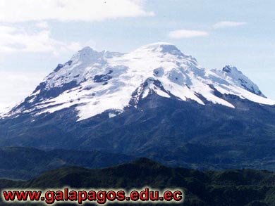 Galapagos Spanish School, Spanish School quito ecuador, learn spanish quito, escuela de Espanol Galapagos, study spanish ecuador, classes spanish quito Montanita mindo, spanish language schools in quito otavalo, spanish courses, spanish online, speak spanish, language immersion program, spanish immersion program, son latino dance school, host family, familystay, apartment quito