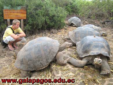 Galapagos Spanish School, Spanish School quito ecuador, learn spanish quito, escuela de Espanol Galapagos, study spanish ecuador, classes spanish quito Montanita mindo, spanish language schools in quito otavalo, spanish courses, spanish online, speak spanish, language immersion program, spanish immersion program, son latino dance school, host family, familystay, apartment quito