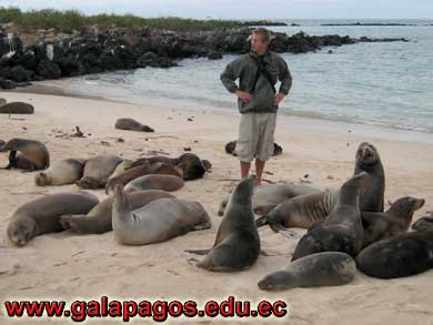 Galapagos Spanish School, Spanish School quito ecuador, learn spanish quito, escuela de Espanol Galapagos, study spanish ecuador, classes spanish quito Montanita mindo, spanish language schools in quito otavalo, spanish courses, spanish online, speak spanish, language immersion program, spanish immersion program, son latino dance school, host family, familystay, apartment quito