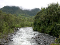 Galapagos Spanish School, Spanish School Quito, Study Spanish Ecuador, Study Spanish Quito Ecuador, Spanish language classes Ecuador, Spanish language school Quito, learn Spanish Ecuador, learn Spanish quito mindo otavalo, classes spanish Montanita, online spanish, online, online video spanish class, video lessons spanish, spanish school ecuador