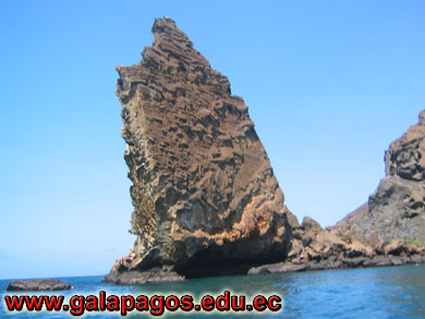Galapagos Spanish School