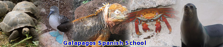 Study Spanish in Quito at Galapagos Spanish School